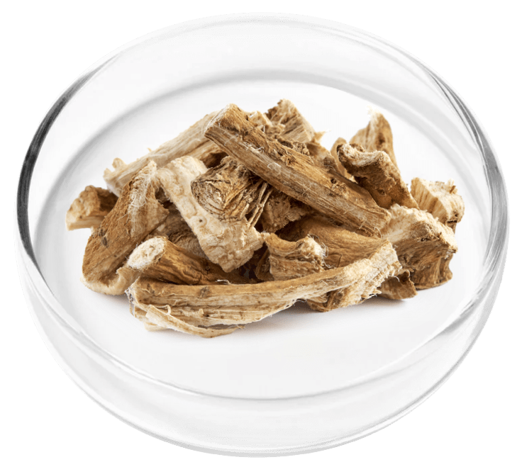 nervovive ingredients